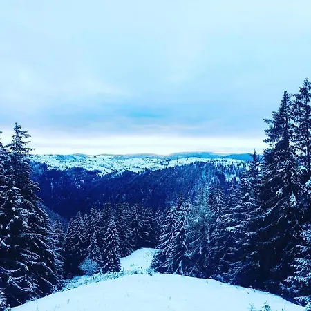 La Koltau A-frame * Mărişel