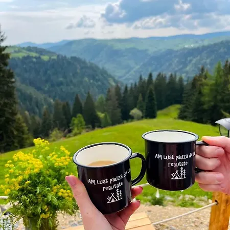 La Koltau A-frame * Mărişel